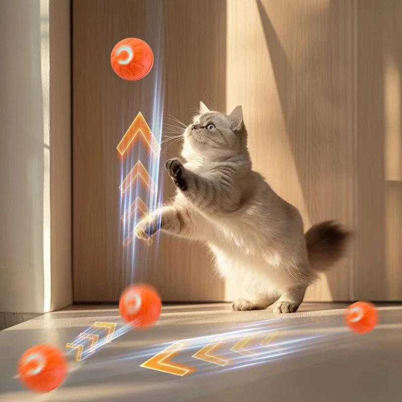 FURLIFE™Smart Toy Ball