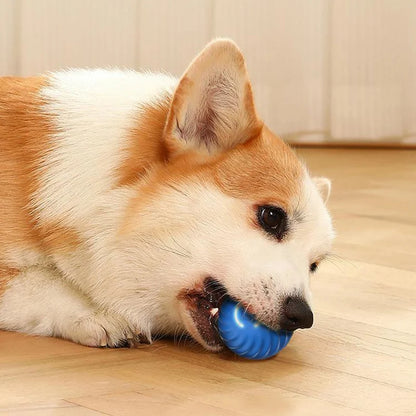 FURLIFE™Smart Toy Ball