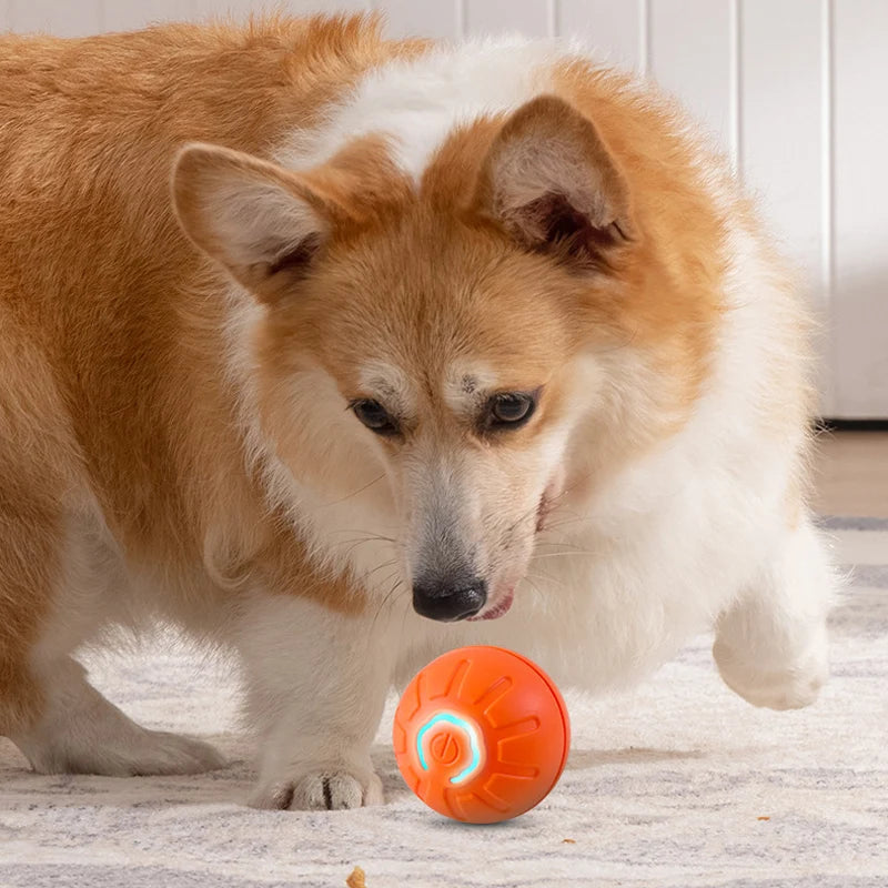 FURLIFE™Smart Toy Ball