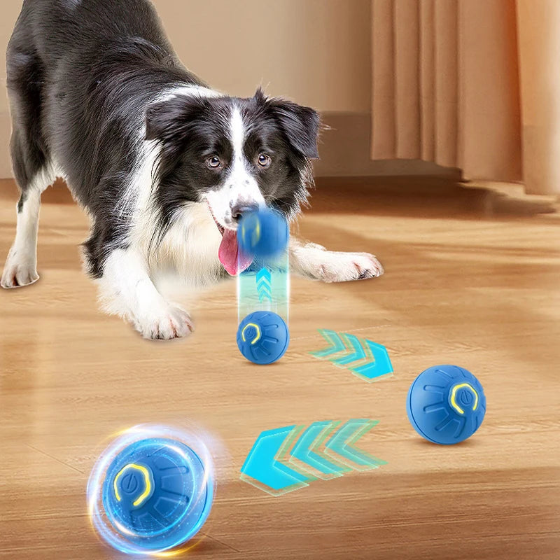 FURLIFE™Smart Toy Ball