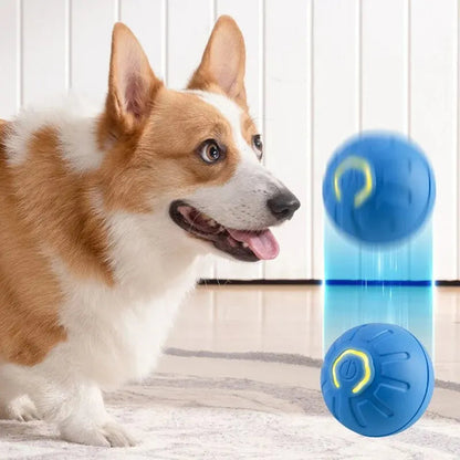 FURLIFE™Smart Toy Ball