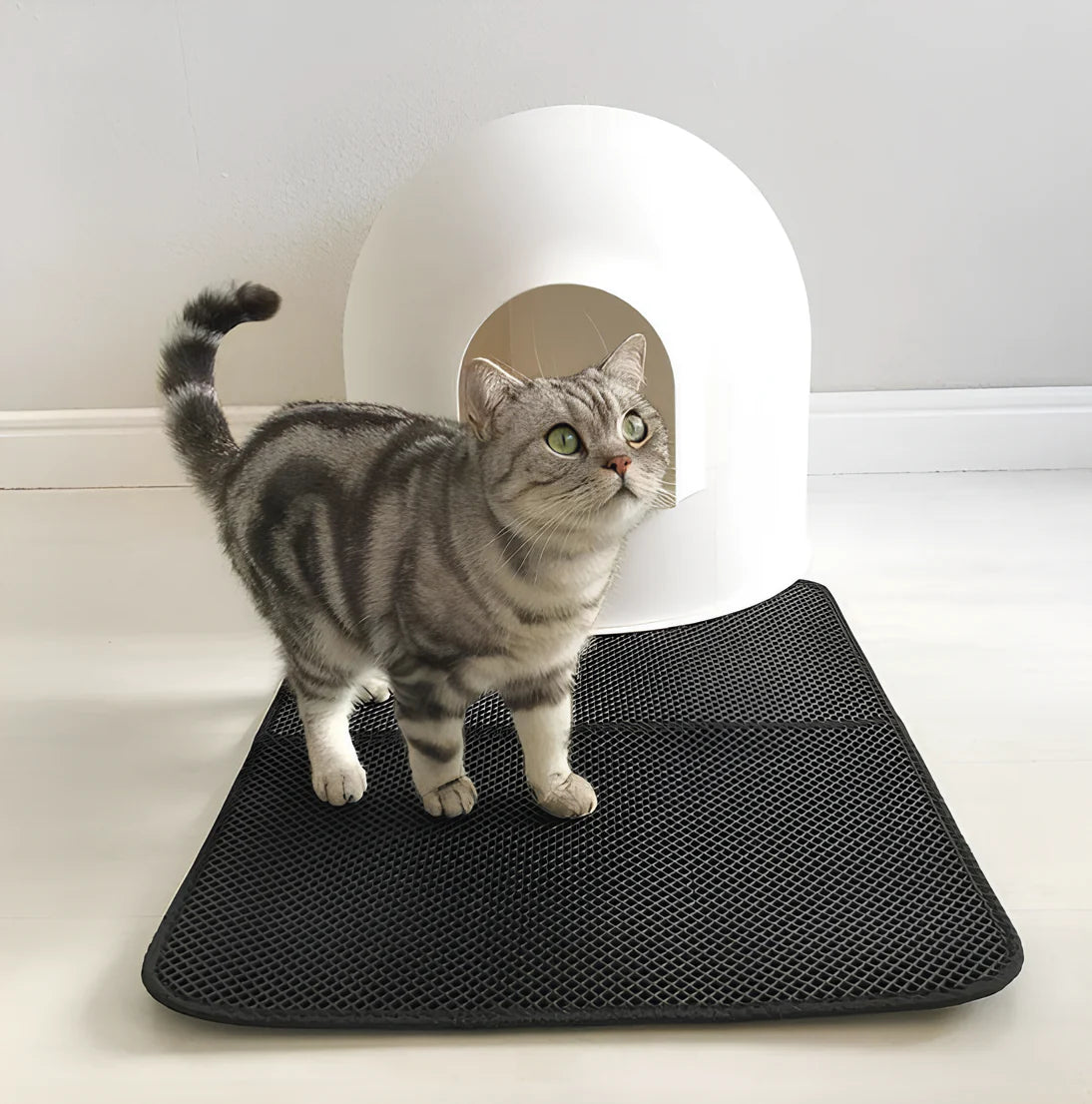 FURLIFE™Waterproof Cat Litter Mat